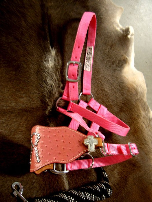 Horse Noseband Tack Bronc Leather HALTER Tiedown Lead Rope Pink 28052