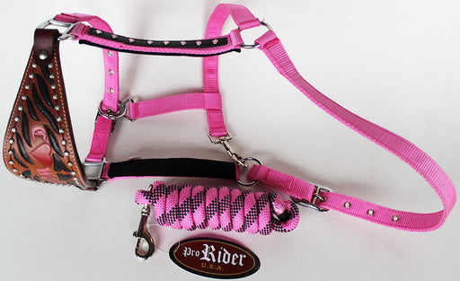 Horse Noseband Tack Bronc Leather HALTER Tiedown Lead Rope  280618