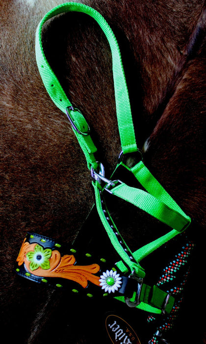 Noseband Tack Bronc Leather HALTER Tiedown Lead Rope 280P