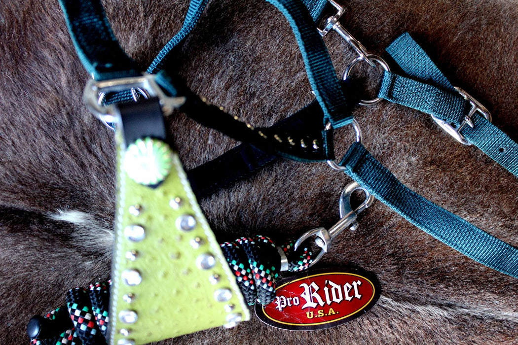 Noseband Tack Bronc Leather HALTER Tiedown Lead Rope 280P