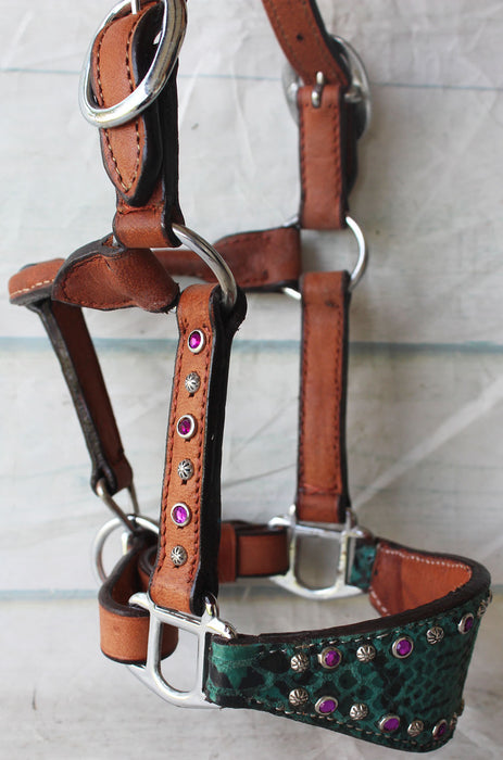 Horse Mini Foal Noseband Tack Leather Bronc Show HALTER Tiedown  28118