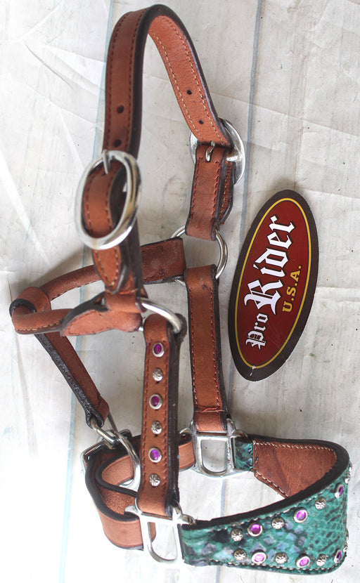 Horse Mini Foal Noseband Tack Leather Bronc Show HALTER Tiedown  28118