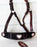 Horse Noseband Tack Leather Bronc Show HALTER Tiedown  28134