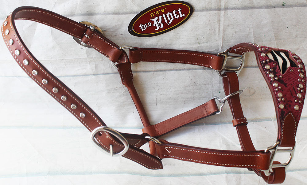 Horse Noseband Tack Leather Bronc Show HALTER Tiedown  28136