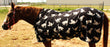 Horse Polar FLEECE COOLER Exercise Blanket Wicks Moisture Winter Liner  43EEFunPrint