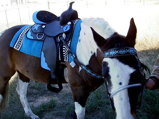 Western Cordura Trail Barrel Pleasure Horse SADDLE Blue 4917