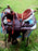 Western Cordura Trail Barrel Pleasure Horse SADDLE Bridle Tack Brown 4948