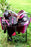 Western Cordura Trail Barrel Pleasure Horse SADDLE Bridle Tack Pink 4983