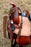 Horse Western Barrel Show Pleasure LEATHER SADDLE Bridle Brown 50174