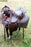 13" Horse Western Barrel Show Pleasure LEATHER SADDLE Bridle Pony 50275