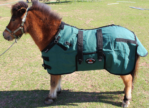 Canvas Duck Turnout Water Resistant Foal Winter Blanket  51701