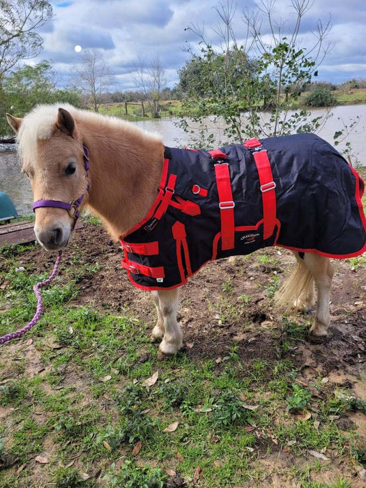 58" 1200D Miniature Weanling Donkey Pony Horse Foal Winter Blanket Red BLK 51946