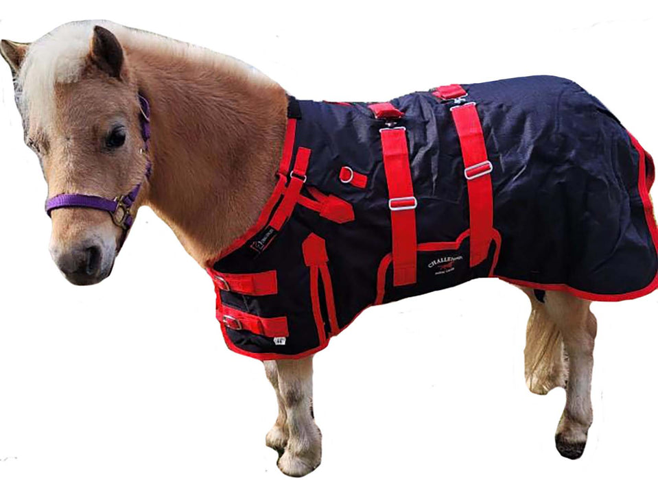 60" 1200D Miniature Weanling Donkey Pony Horse Foal Winter Blanket Red BLK 51946