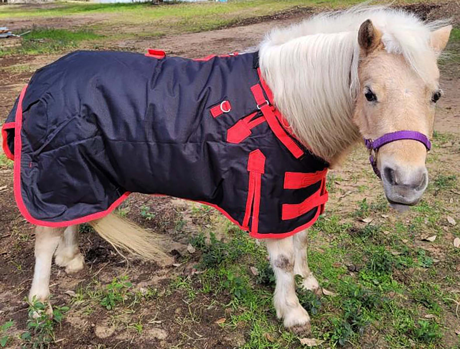 58" 1200D Miniature Weanling Donkey Pony Horse Foal Winter Blanket Red BLK 51946
