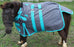 1000D Miniature Weanling Donkey Pony Horse Foal Mini Winter Blanket 51974