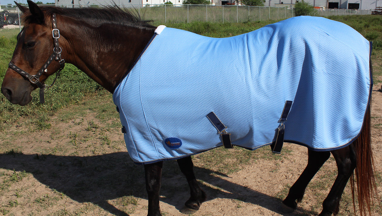 Horse Stretchable Cotton Sheet Blanket Rug Summer Spring Winter Blue 5340