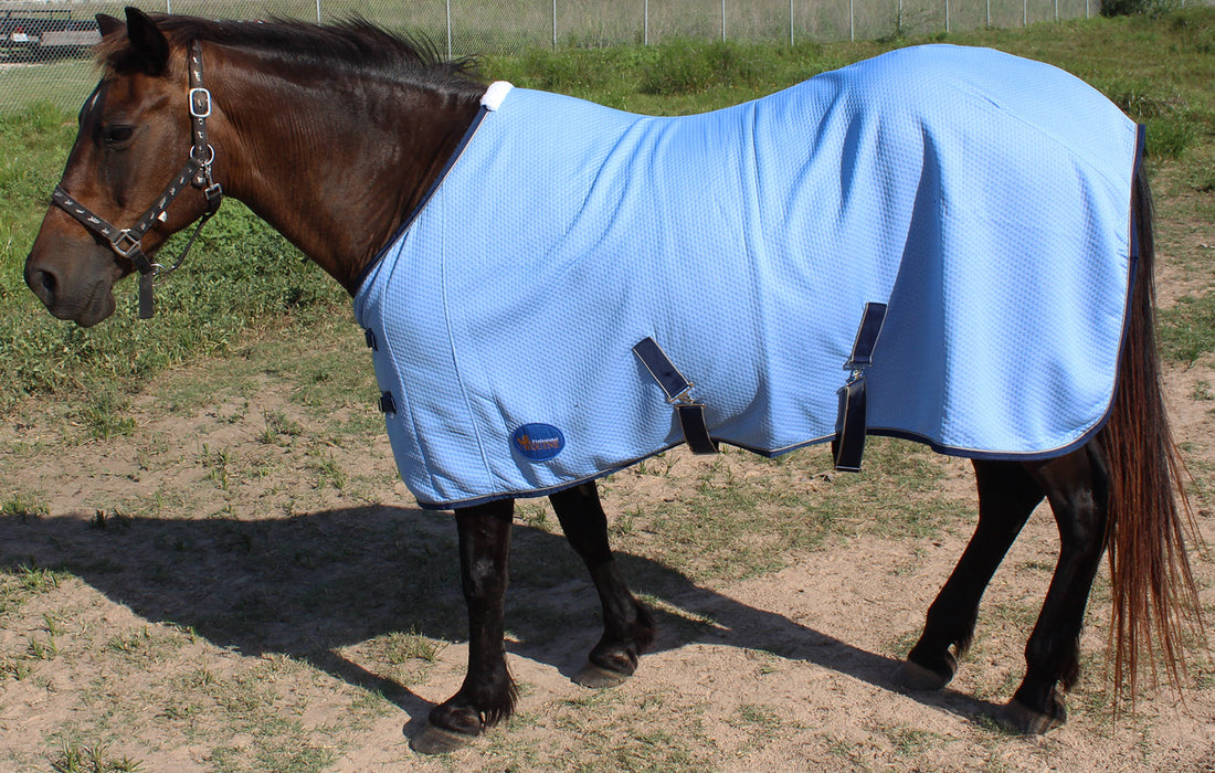 Horse Stretchable Cotton Sheet Blanket Rug Summer Spring Winter Blue 5340