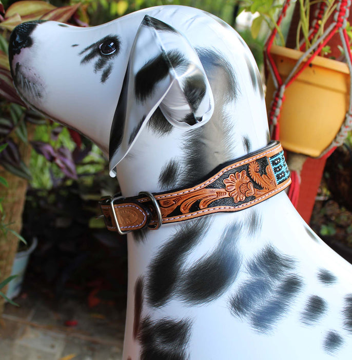 Dog Puppy Collar Genuine Cow Leather Padded Canine  60103