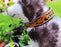 Hand Tooled Beaded Padded Leather Dog Collar  60127