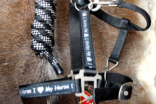 Horse Nylon HALTER Lead Rope Bling Tack Black Noseband 60682