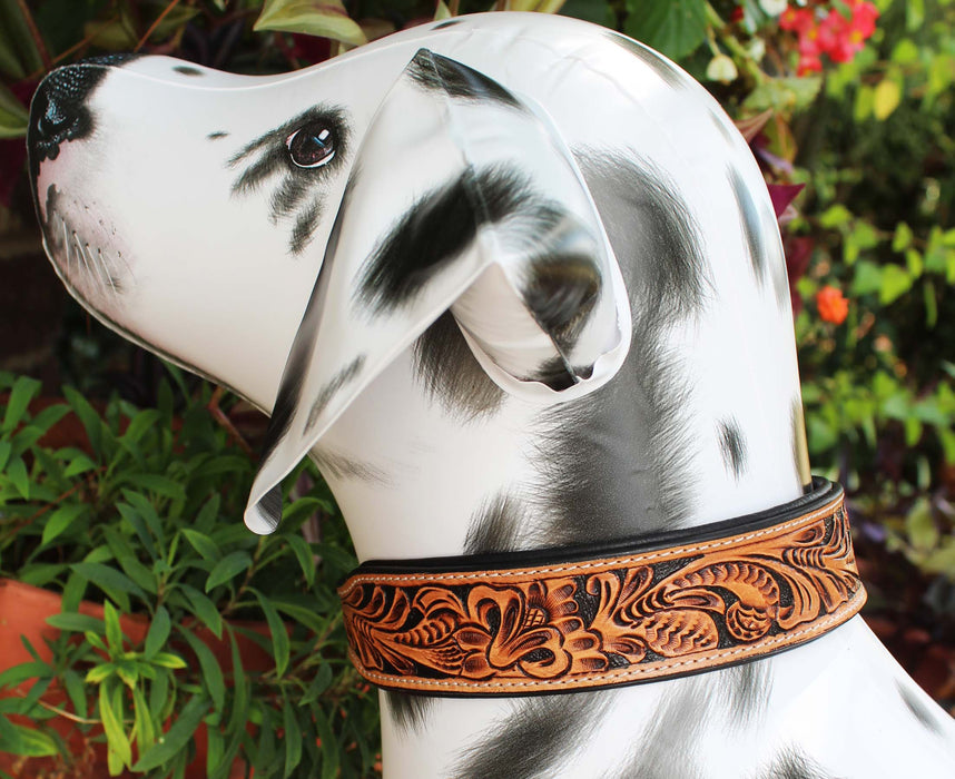 Heavy Duty Padded Amish 100% Top Grain Leather Hand Tooled Dog Collar 60FK11
