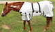Horse Mesh Summer FlySheet Spring Airflow   White 73408