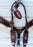 Horse Show Bridle Western Leather Headstall Breast Collar Barrel Tack BRN 7989A