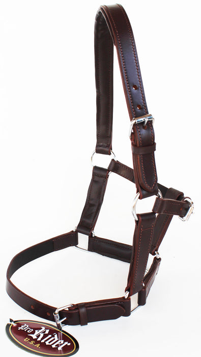 Equine Riding Horse Leather Halter English Western Tack Foal Brown 927R17BR