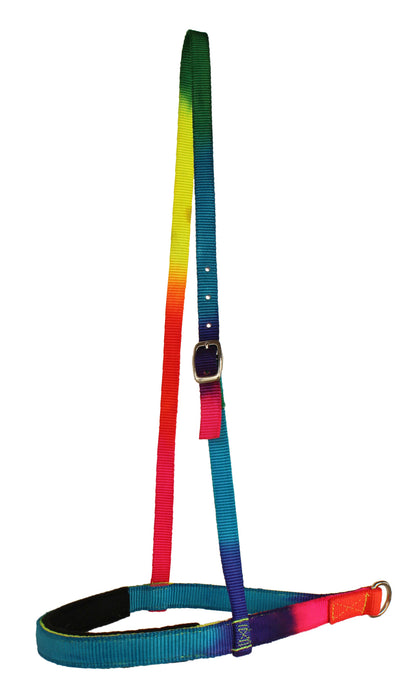 Challenger 1" Rainbow 2Ply Nylon Fleece Padded Noseband Horse Tack 99109