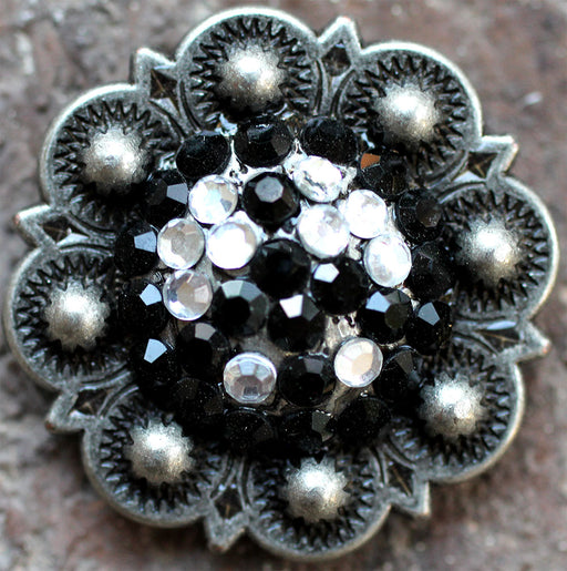 4 Conchos Rhinestone Horse Saddle Western  Berry CO154