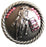 4 Conchos Rhinestone Horse Saddle Western  Pink CO503